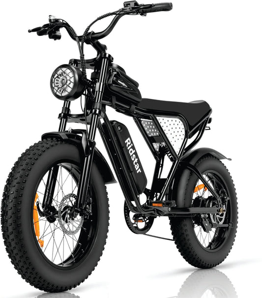 Electric Bike for Adults, 1000/2000W