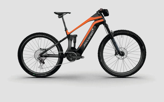 Extreme 250 electric mountain bike