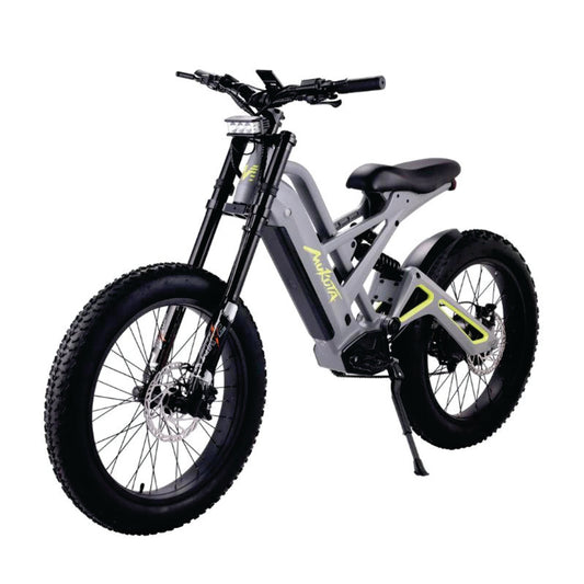 Mukuta Knight 24" 1200W Rear Hub Motor Electric Bike